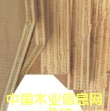 �c���鿴�z�ϰ�Ŵ�DƬ