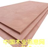 �c���鿴�z�ϰ�Ŵ�DƬ