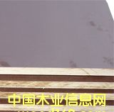 �c���鿴����ģ��Ŵ�DƬ