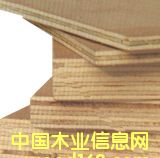�c���鿴�z�ϰ�Ŵ�DƬ