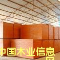 �c(di��n)���鿴����ģ��Ŵ�DƬ