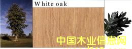 �c���鿴����Ŵ�DƬ