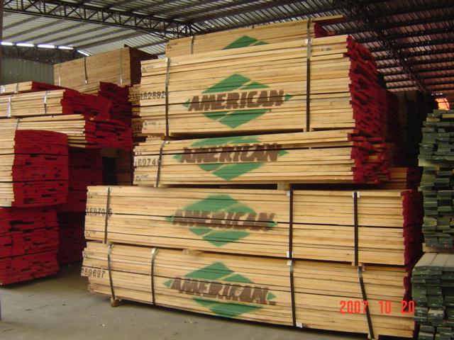 �t��ľ��Ԕ����B