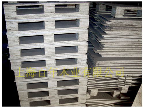 �c���鿴��Ѭ�����b��Ŵ�DƬ