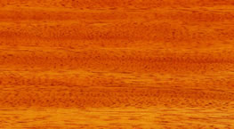 �~�ն���Ԕ����B