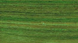 ��̴���Ԕ����B