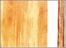 �� ���z�ذ��Ԕ����B