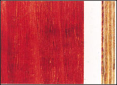 �� �����z�t���Ԕ����B