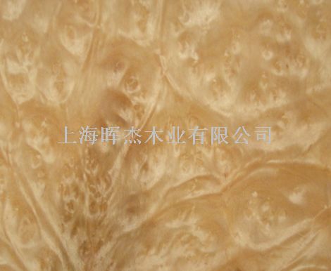 ���� ľƤ��Ԕ��(x��)��B