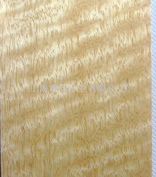 ��Ӱ ľƤ��Ԕ��(x��)��B