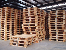 ����ľ�бP��Ԕ����B