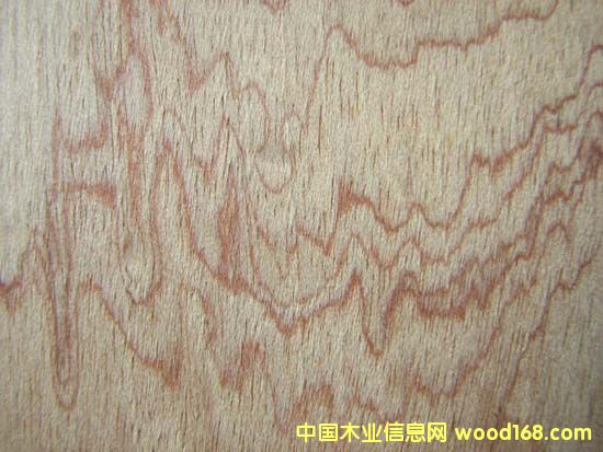 ��Ƥ骵�Ԕ����B