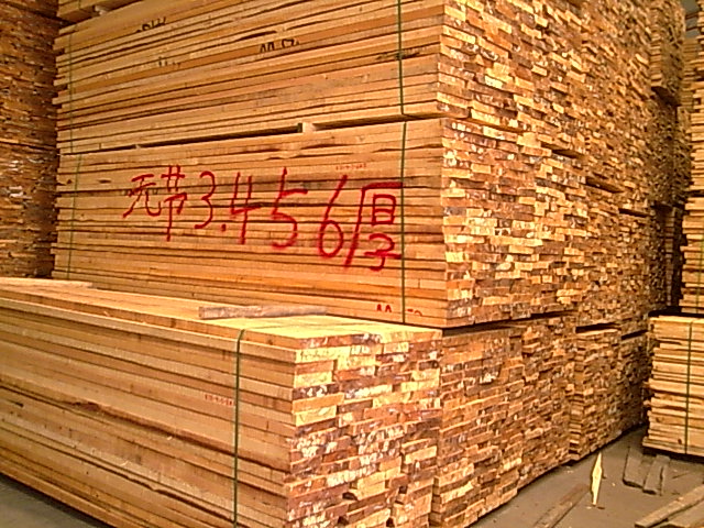 �����ɟo����ĵ�Ԕ����B