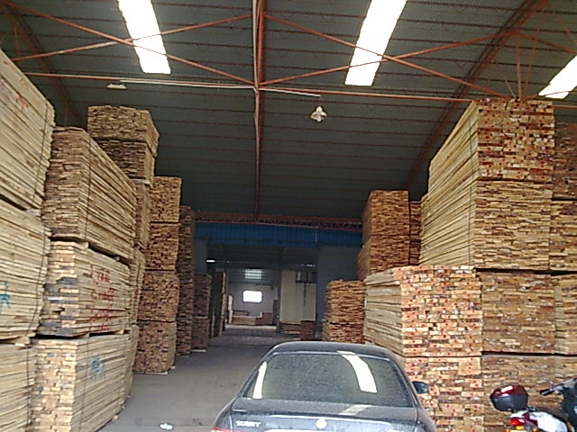 �����ɰ�ĵ�Ԕ����B