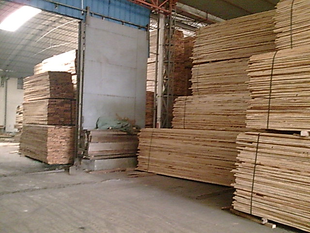 �����ɰ�ĵ�Ԕ����B