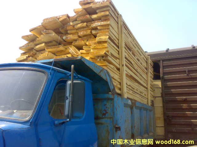 �����ɰ�ĵ�Ԕ����B