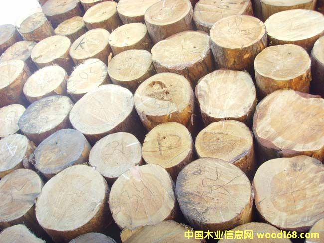 ���ɵ�Ԕ����B