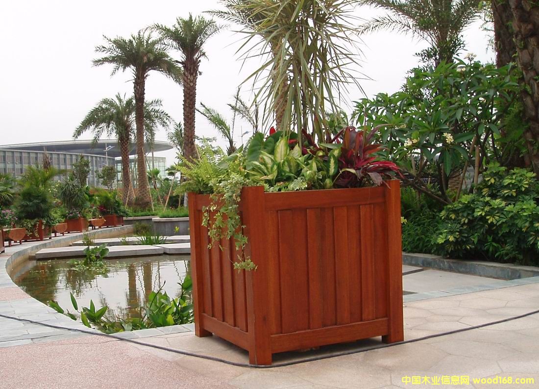 �c���鿴����Ŵ�DƬ