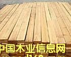 �c���鿴ľ���Ŵ�DƬ
