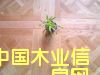 �c(di��n)���鿴�ֹ�ˇ��(sh��)ľƴ���ذ�Ŵ�DƬ