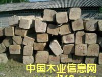 ������ľ��Ԕ����B