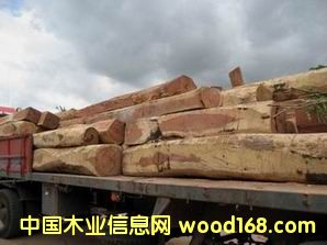 �t̴����ʵ�Ԕ����B