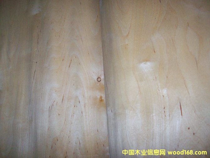 �ט���ƤD��Ԕ����B