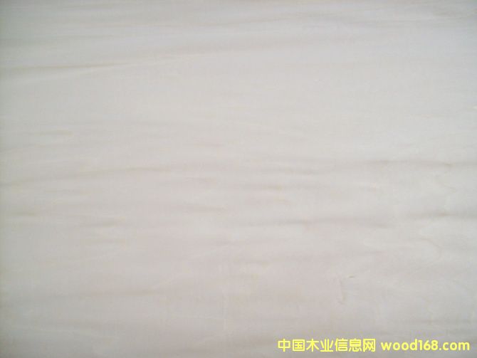 �ľ��Ƥ�����棴��Ԕ����B