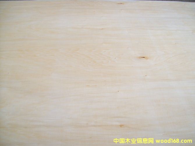 �ľ��Ƥ�����Ԕ����B