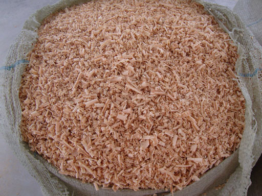 ��ľ����ľľм ľ�� ľ�� �ٻ� ľƬ