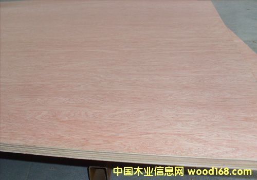 ȫ�sľ�z�ϰ�