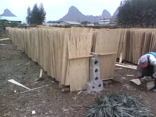 ��ľ�ΰ��Ԕ����B