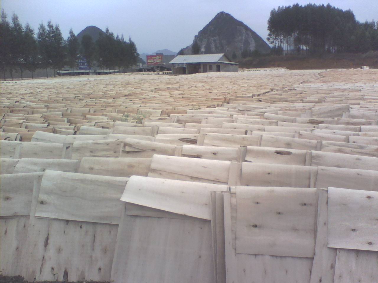 ��ľ�ΰ��Ԕ����B