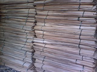 ��ľ�ΰ��Ԕ����B