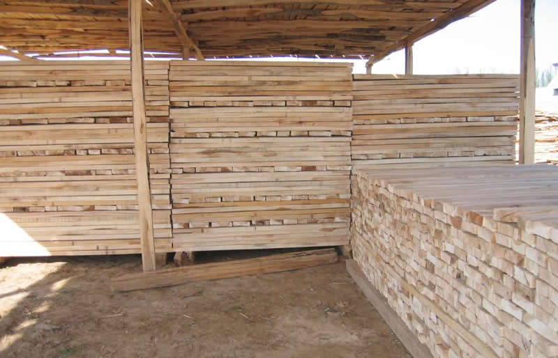 ��ľ����Ԕ����B