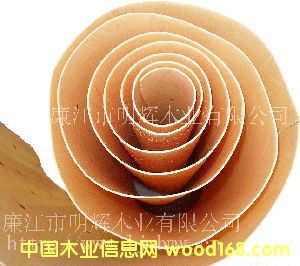 ��ľо���Ԕ����B