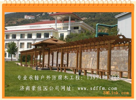 ��������ľ��Ԕ����B