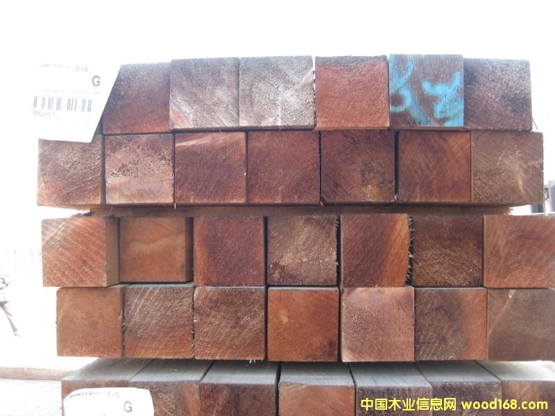 �tѩ�ɵ�Ԕ����B