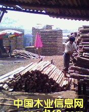 ��ľ��Ԕ����B