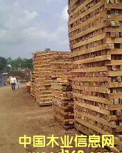 ��ľ�������l��Ԕ����B