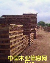 ��ľ�������l��Ԕ����B