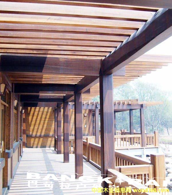 �c(di��n)���鿴̿��ľ�Ŵ�DƬ