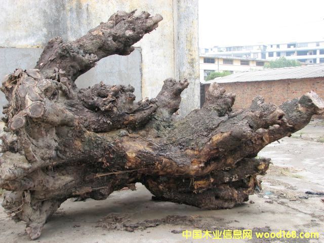 �u��ľ��ײ��ϵ�Ԕ����B