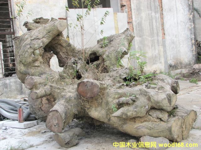 �����Ϙ���ψ���Ԕ����B