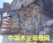 �c���鿴ľм�Ŵ�DƬ