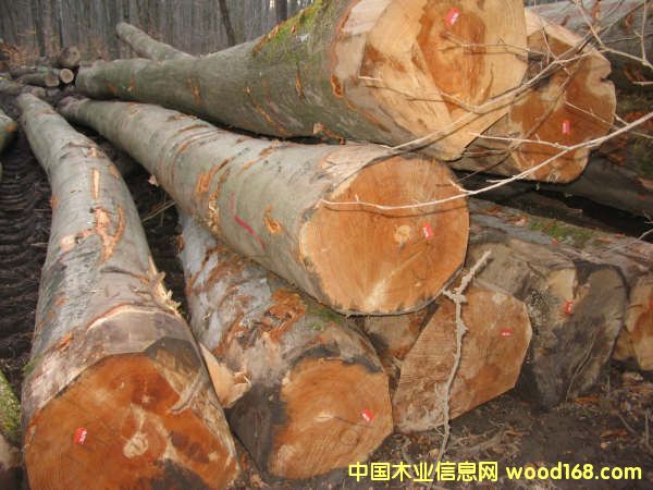 ԭľ��Ԕ����B