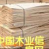 �c���鿴��ľ�ΰ�Ŵ�DƬ