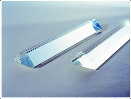 ���������Ǘl