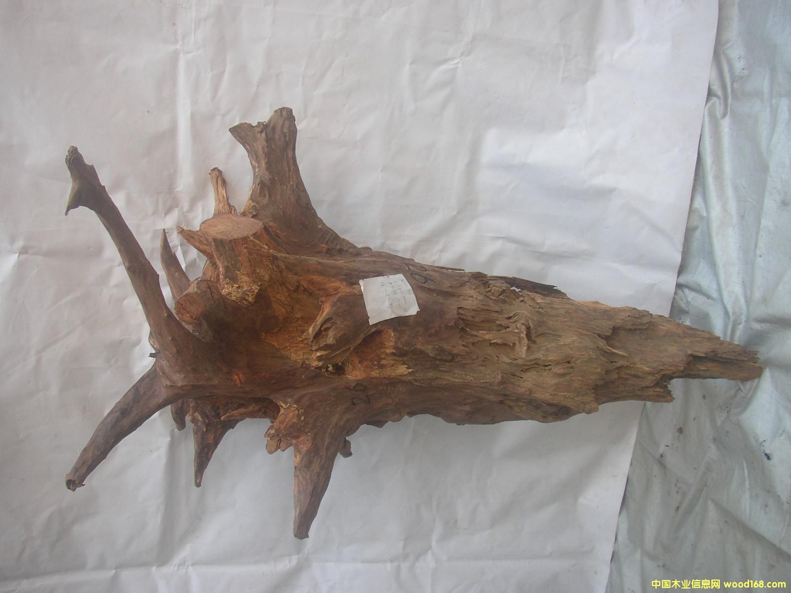 �����S����26#