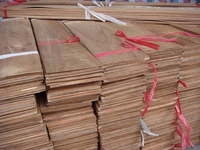 �ƬƬ�ĵ�Ԕ����B